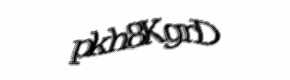 Security check image, please type the characters shown